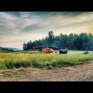 Meet your Posher, Nick